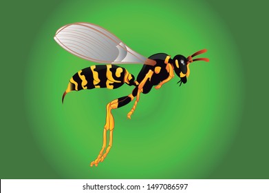 Wasp with bright and gradient colors, shadows and lights marked in the design, gradient green background