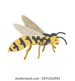 Wasp cartoon clipart. Cute yellowjacket wasp (Vespula) vector illustration. Animal in flat style. Insects and anthropods concept isolated on white background