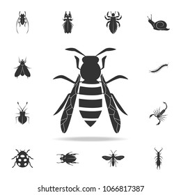 wasp. Detailed set of insects items icons. Premium quality graphic design. One of the collection icons for websites, web design, mobile app on white background