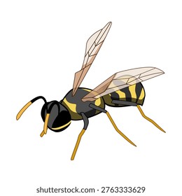 Wasp displaying its black and yellow striped body and delicate wings while hovering, conveying themes of nature, summer, and the biodiversity of insects
