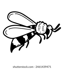 Wasp doodle. Flying stinging insect. Honey apiary. Bee pollinator. Hand drawn vector sketch illustration.