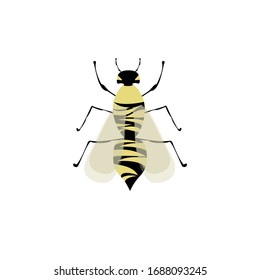 wasp flat top view. vector