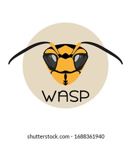 Wasp, head close-up. Vector image, isolated. Illustration for a logo or icon.