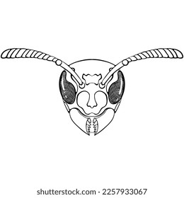 Wasp head icon outline. Vector illustrations in hand drawn sketch style isolated on white. Black insect close up for coloring book page, logo.