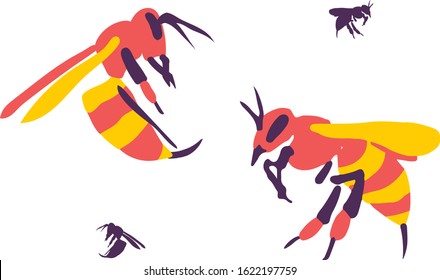 Wasp Hornet on white background vector