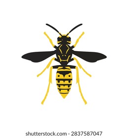 Wasp hornet yellow jacket vector illustration isolated on white background