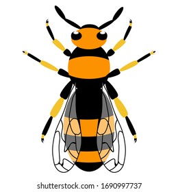 Icono de Wasp. Icono de abeja. Abeja o avispa. Vasos de color de los insectos. Un insecto picante. Diseño plano. Vector