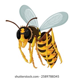 Wasp icon. Cartoon of wasp vector icon for web design