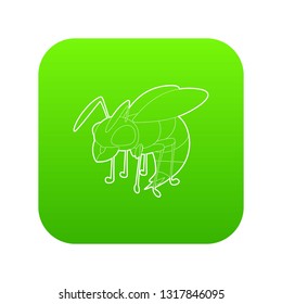Wasp icon green vector isolated on white background