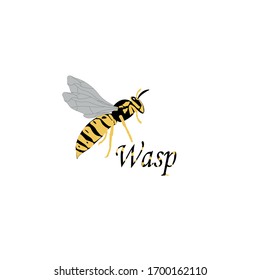 Wasp icon.  Insect color wasp. A stinging insect. Flat design. Vector illustration  isolated on white background