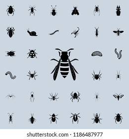 wasp icon. insect icons universal set for web and mobile