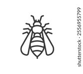 Wasp, icon in line design. Wasp, insect, sting, wings, hive, yellow, predator on white background vector. Wasp, editable stroke icon