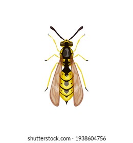 Wasp icon, pest control insect parasite, hornet vector isolated. Pest control disinsection, disinfection and extermination symbol, agriculture insects pesticide disinfestation