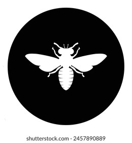 wasp icon template design illustration