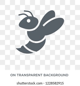 Wasp icon. Trendy flat vector Wasp icon on transparent background from animals  collection. 