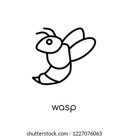 Wasp icon. Trendy modern flat linear vector Wasp icon on white background from thin line animals collection, editable outline stroke vector illustration
