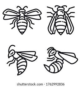 Wasp icons set. Outline set of wasp vector icons for web design isolated on white background