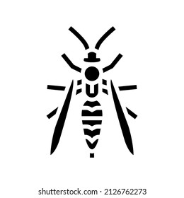 wasp insect glyph icon vector. wasp insect sign. isolated contour symbol black illustration