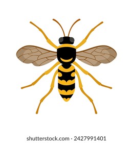 Wasp insect isolated on white background flat style vector illustration