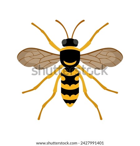 Wasp insect isolated on white background flat style vector illustration