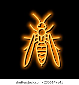 wasp insect neon light sign vector. wasp insect illustration