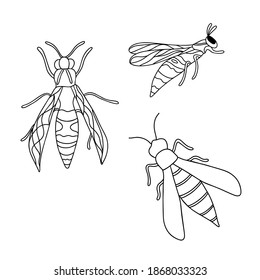 El insecto Wasp establece un contorno simple ilustración vectorial aislada en el estilo de doodle dibujado a mano