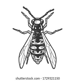 ilustración vectorial de grabación de insectos wasp. Diseño de impresión de ropa de camiseta. Imitación de tablero de raquetas. Imagen dibujada a mano en blanco y negro.