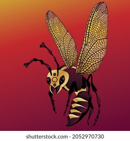 wasp insect vector illustration bug