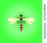 Wasp Insect Wing