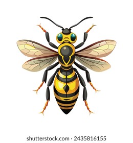 Wasp isolated illustration on white background