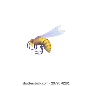 Wasp isolated on white background