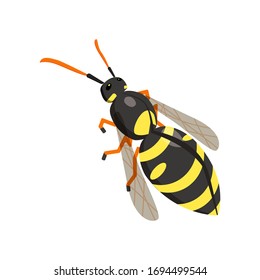 Icono isométrico de Wasp. Ilustración vectorial para su diseño. Aislar sobre un fondo blanco.