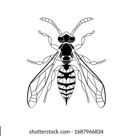 Wasp line drawing cartoon for adult antistress coloring page. Bee isolated on white background. Bumblebee Hand drawn doodle, graphic vector illustration. Zentangle style. Insect sketch Stained glass.