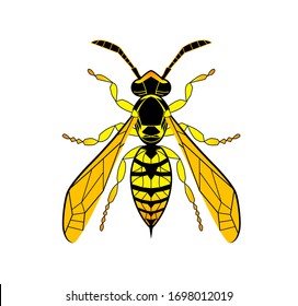 Wasp line drawing cartoon. Yellow Bee isolated on white background. Bumblebee Hand drawn doodle, graphic vector illustration. Zentangle style. Insect Stained glass.