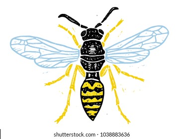 Wasp linocut linocut illustration, draw, ink, vector