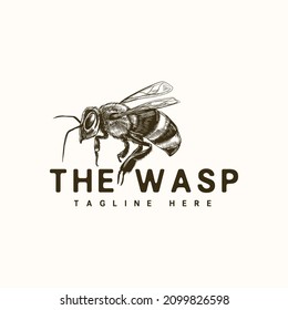 Inspiración en la plantilla de diseño de estilo pintado a mano con el logotipo Wasp