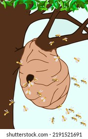 Wasp nest on a tree