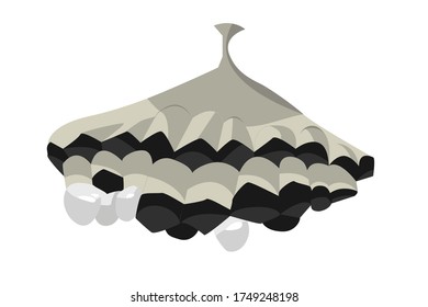 Wasp Nest. Vector Isolated Illustration