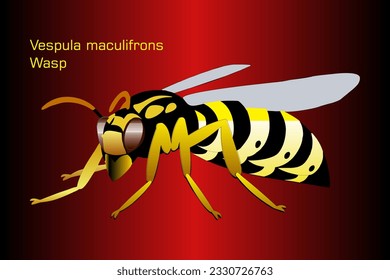 Wasp on abstract Red Background - Illustration