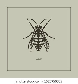 Wasp on a beige background in a realistic style. Drawn. Perfect for printing, interior, poster, brand, wall painting, printing on clothes, furniture items. Vector illustration.