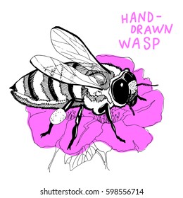 Wasp on the flower. Sketch of wasp. Wasp isolated on white background. Hand-drawn Wasp. Vector illustration