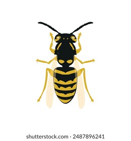 Wasp on a white background.Vector Graphics