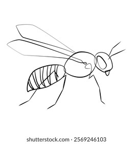 Wasp one line drawing on white isolated background