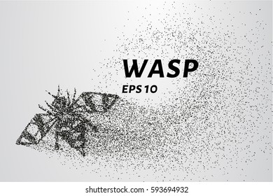 Wasp of the particles. Wasp consists of circles and points. Vector illustration