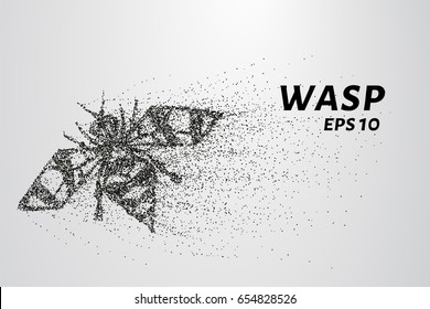 Wasp of the particles. Wasp consists of circles and points. Vector illustration