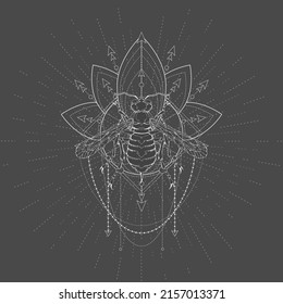 Wasp and Sacred geometric symbol on black background. Abstract mystic sign. White linear shape. 