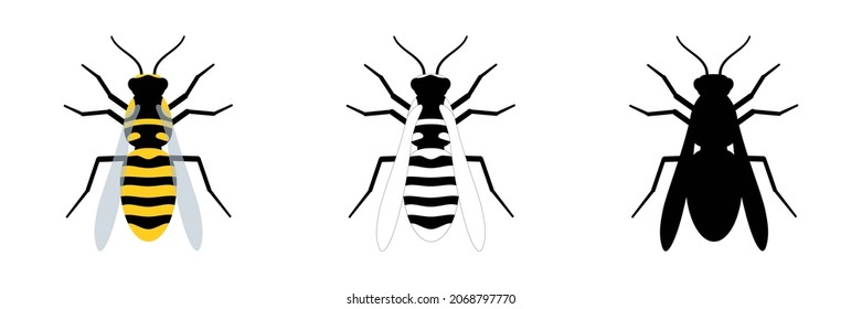 Wasp set. Color, black and white, silhouette wasp collection. Vector illustration for drawing.