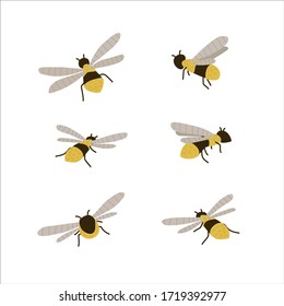 Juego de avispas, diferentes poses. Abeja dibujada a mano vuela. Una guisada amarilla. Insulto de primavera. Objeto de producto orgánico de abejas dulces. Abeja voladora. Colección de abejas. Animales, bichos, ilustración vectorial de caricaturas