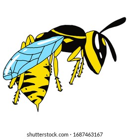 Wasp side view on an isolated white background. Insect in cartoon style. Stock vector illustration.