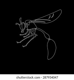 wasp silhouettes